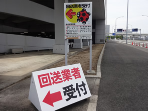 左手にてんとう虫が見えたら